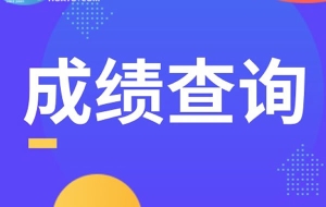 安徽省成人高考分数查询